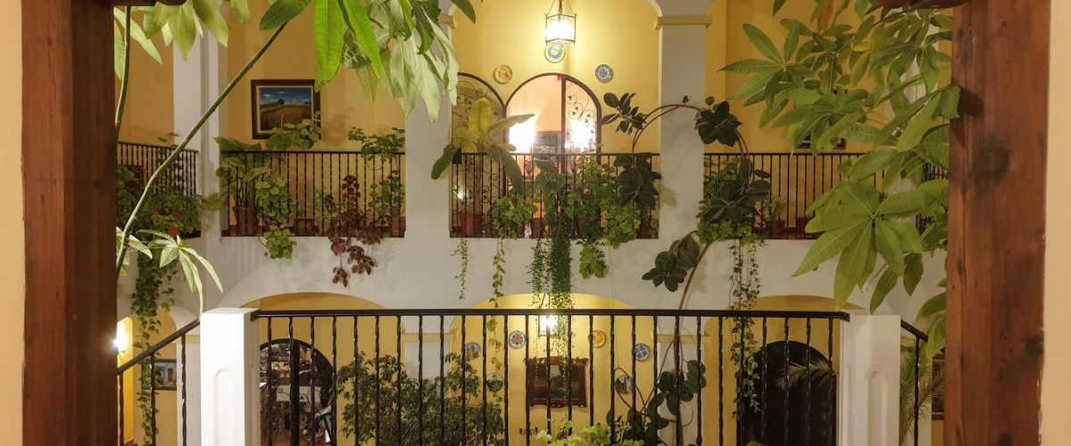 20190222_200215_result03